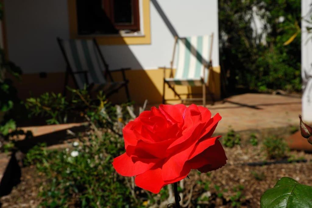 Vale Do Guizo: Casa Poente On The Contryside, Close By The Sea. Алжезур Екстериор снимка